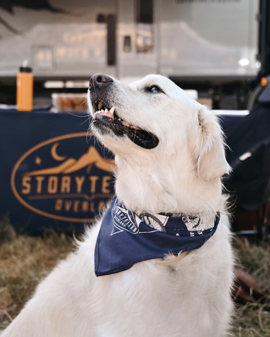 Bear Racing Bandana